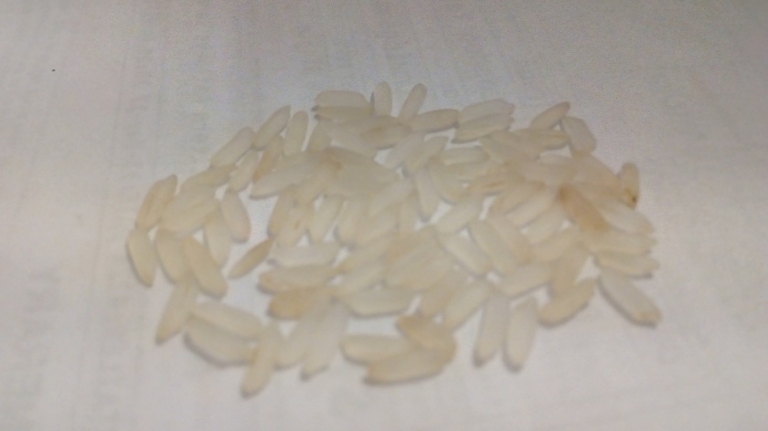 beras plastik